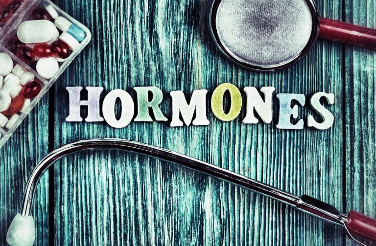 hormones desirs sexualité