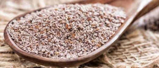 Psyllium