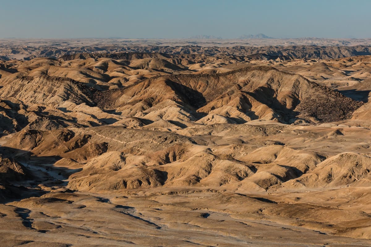 Le Désert Du Namib Et Ses Plantes Millénaires