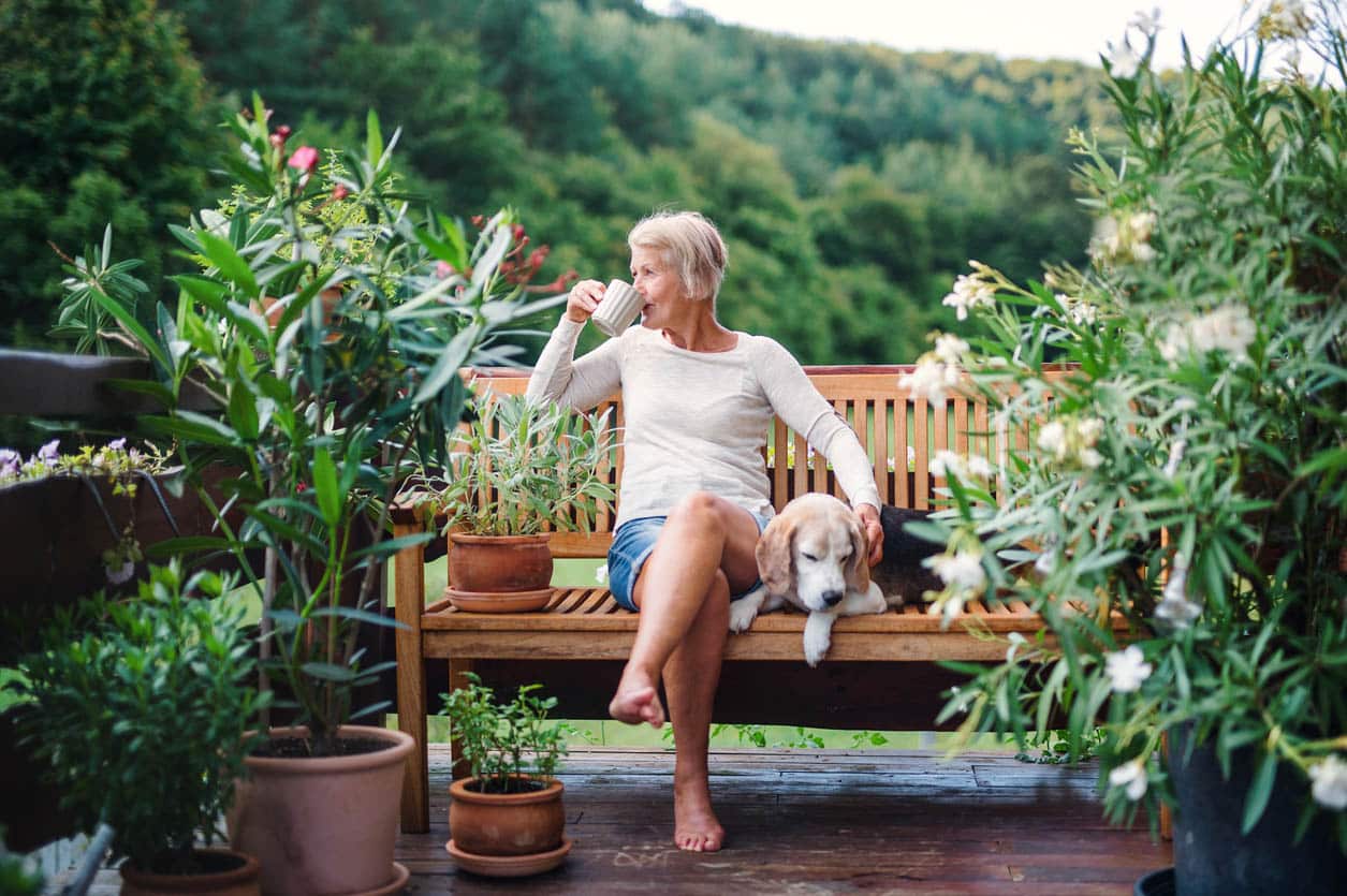 A Senior Woman With A Dog And Coffee Sitting Outdoors On A Terrace In Summer.