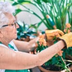 femme agée soigne ces plantes vertes