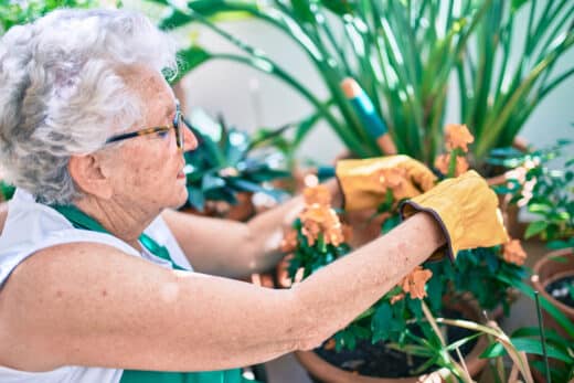 femme agée soigne ces plantes vertes