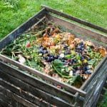 Compost Bin