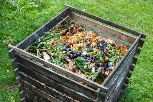 Compost Bin