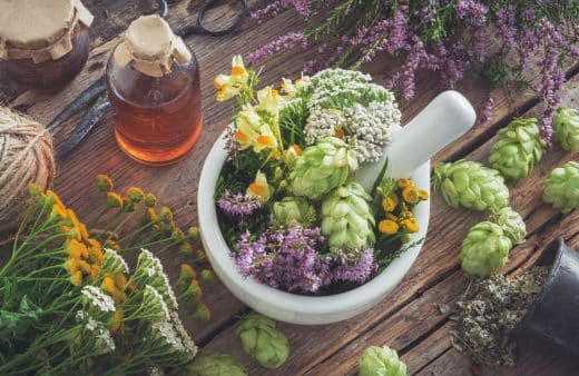 Mortier d’herbes médicinales, des plantes saines, une bouteille de teinture ou infusion