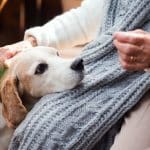 Une vieille femme avec un chien assis à l’extérieur sur une terrasse