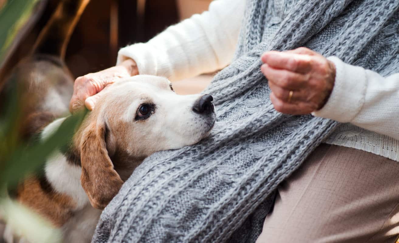 Une vieille femme avec un chien assis à l’extérieur sur une terrasse