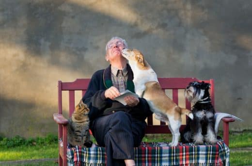 Vieil homme avec les animaux de compagnie