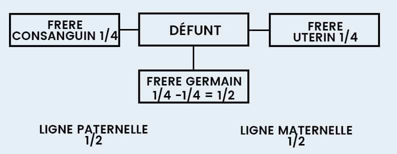 Schema Ordre Heritier Exemple 6