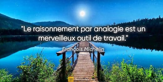 Raisonnement Par Analogie Citation