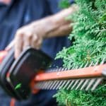 Jardinier Coupant Une Haie Une Un Taille Haie Electrique