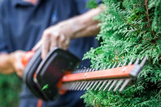 Jardinier Coupant Une Haie Une Un Taille Haie Electrique