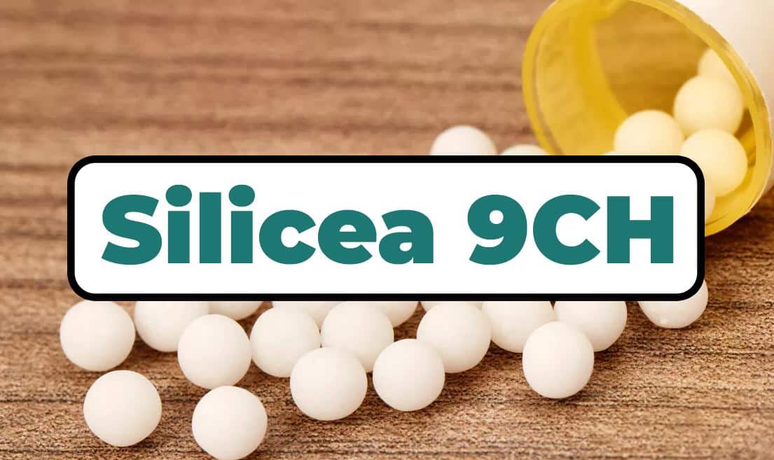 Silicea 9ch