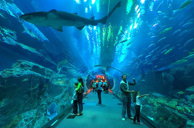 Aquarium De La Rochelle